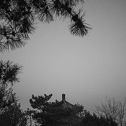 谷歌Stadia全新试玩系统 可玩到解锁特定成就为止